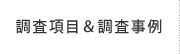 調査項目＆調査事例