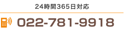 022-781-9918